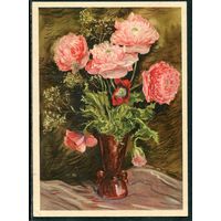 Открытка. Цветы. Розовые маки. СССР 1957