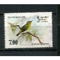 Цейлон (Шри-Ланка) - 1988 - Птица - [Mi. 840] - полная серия - 1 марка. Гашеная.  (Лот 83EB)-T7P11
