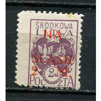 Центральная Литва - 1921 - В фонд референдума по Силезии. Надпечатка NA SLASK 2M на 2M - [Mi.25A] - 1 марка. MLH.  (LOT AM33)