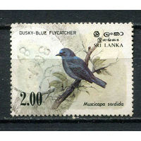 Цейлон (Шри-Ланка) - 1983 - Птица - [Mi.642] - 1 марка. Гашеная.  (Лот 84EB)-T7P11