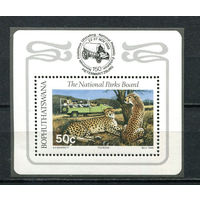 Бопутатсивана (Южная Африка) - 1988 - Национальные парки. Гепард - [Mi. bl. 3] - 1 блок. MNH.  (LOT DA38)