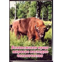 Комплект открыток Беловежская пуща (8 штук)