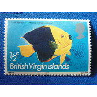Британские Виргинские Острова 1975 г. Морская фауна.