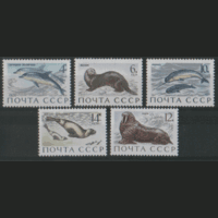 З. 3964/68. 1971. Млекопитающие -- обитатели морей и океанов. ЧиСт.