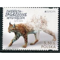 Польша. Европа СЕРТ 2021. Исчезающие виды фауны. Рысь