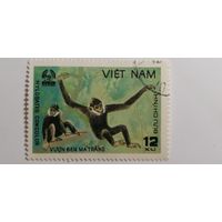 Вьетнам 1981. Животные леса Кью-Фуонг.