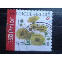 Бельгия 2005 Хризантемы, углвая марка в буклете