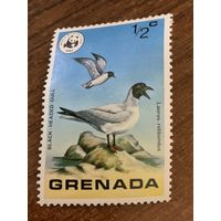 Гренада. Птицы. Laurus ridibundus. Марка из серии