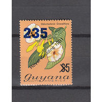 Королевская свадьба. Флора. Орхидеи. Гайана. 1982. 1 марка с надпечаткой и переоценкой. Michel N 781 (6,0 е)