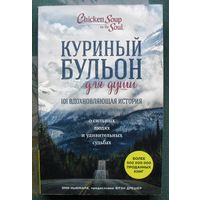 Куриный бульон для души. 101 вдохновляющая история о сильных людях и удивительных судьбах. Эми Ньюмарк.