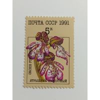 1991 СССР. Орхидеи. Ятрышник пурпурный