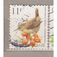 Птицы Фауна Бельгия 1992 год лот 1072