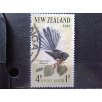 Новая Зеландия 1965 Птица