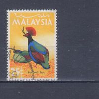 [2146] Малайзия 1965. Фауна.Птицы. Гашеная марка.