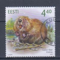 [795] Эстония 2005. Фауна.Бобр. Одиночный выпуск.Гашеная марка.