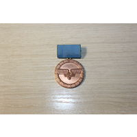 Медаль ГДР "За Верную Службу на Немецкой железной дороге",  бронза.
