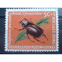 Новая Гвинея, колония Нидерландов Жук-рогач**