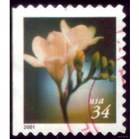 1 марка 2000 год США Цветок 3396 BD