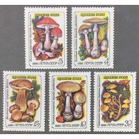 Марки СССР 1986г Ядовитые грибы (5655-5659)