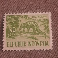 Индонезия 1956. Муравьед