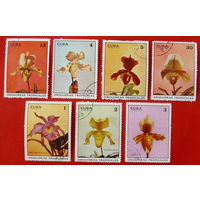 Куба. Орхидеи. ( 7 марок ) 1972 года.