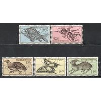 Фауна Чехословакия 1955 год серия из 5 марок