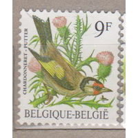Птицы Фауна Бельгия 1985 год лот 1072