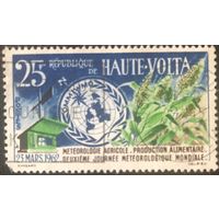 Верхняя Вотльта. 1962 год. Всемирный день метеорологии. 1 марка в серии. Mi:BF 99. Почтовое гашение