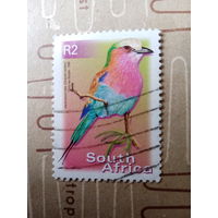 Восточная Африка 2000. Птицы. Coracias caudata