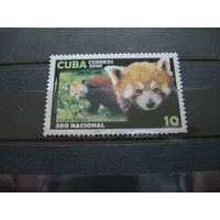 Куба. Красная  панда. 2008г. см. условие.