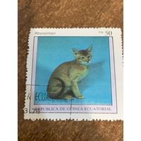 Экваториальная Гвинея 1976. Домашние кошки. Abyssinian. Марка из серии
