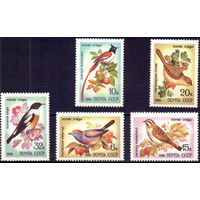 Марки СССР 1981 год. Певчие птицы. Полная серия из 5 марок. 5221-5225. Чистые.