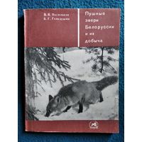 В.В. Васильков и др. Пушные звери Белоруссии и их добыча. 1969 год