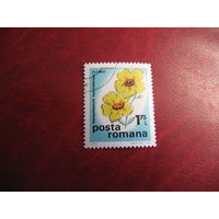 Марка цветы солнцецвет 1975 год Румыния