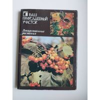 Лекарственные растения. Серия: Ваш приусадебный участок. 1988 год