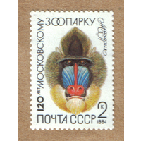Марка СССР зоопарк 1984