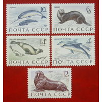 СССР.  Млекопитающие - обитатели морей и океанов. ( 5 марок ) 1971 года. 10-12.