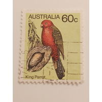 Австралия. Попугай. King Parrot