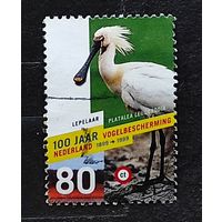 Нидерланды, 1м гаш, 100 лет защите птиц