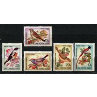 Певчие птицы. 1981. Полная серия 5 марок. Чистые