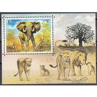 1971 Умм Аль Кивайн 482/B34 Слон - Кошки 4,50 евро