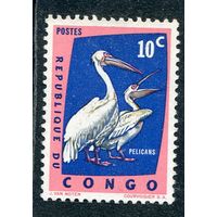 Конго. Фауна. Пеликан