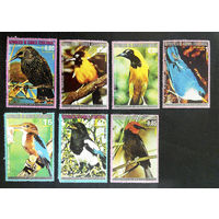 Экваториальная Гвинея 1976 г. Птицы Северной Америки. Фауна, полная серия из 7 марок #0046-Ф2P8