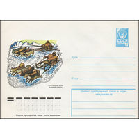 Художественный маркированный конверт СССР N 12684 (23.02.1978) Спортивные игры народов Севера