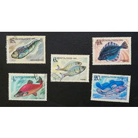 СССР 1983 г. Промысловые рыбы. Морская фауна, полная серия из 5 марок #0070-Ф2P12