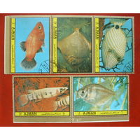 Аджман. Рыбы. ( 5 марок ) 1972 года. *41.