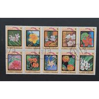 Куба 1983 Флора. Цветы. Сцепка 10 марок