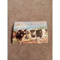 Австралия 1998. Домашний скот. Коровы
