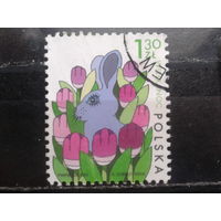 Польша, 2005, Пасхальный кролик в тюльпанах