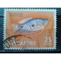 Сингапур 1962 Рыба